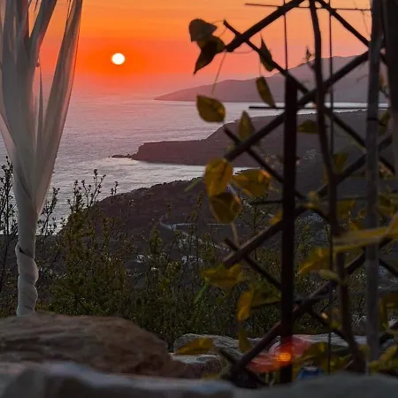 View *